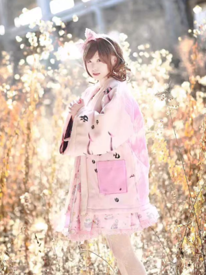Yushiteki's 「Angelic pretty」themed photo (2017/12/14)