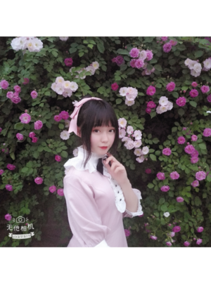 是是魚呀?以「Spring」为主题投稿的照片(2018/04/27)