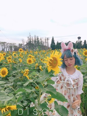 DISGA's 「Angelic pretty」themed photo (2017/06/22)
