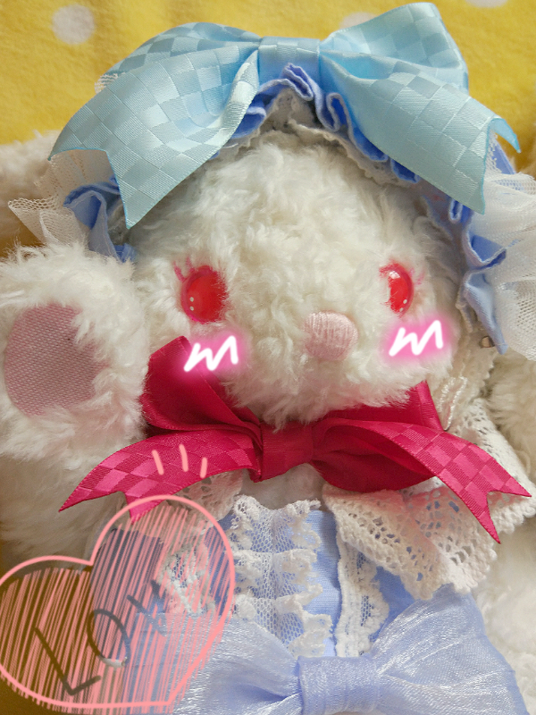 布子's 「兔熊」themed photo (2017/07/01)