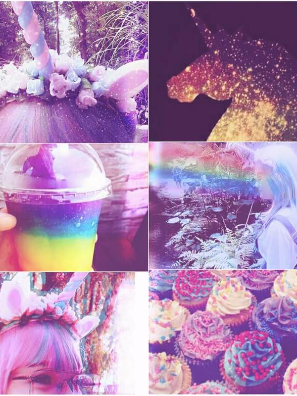 Suh's photo (2017/08/16)